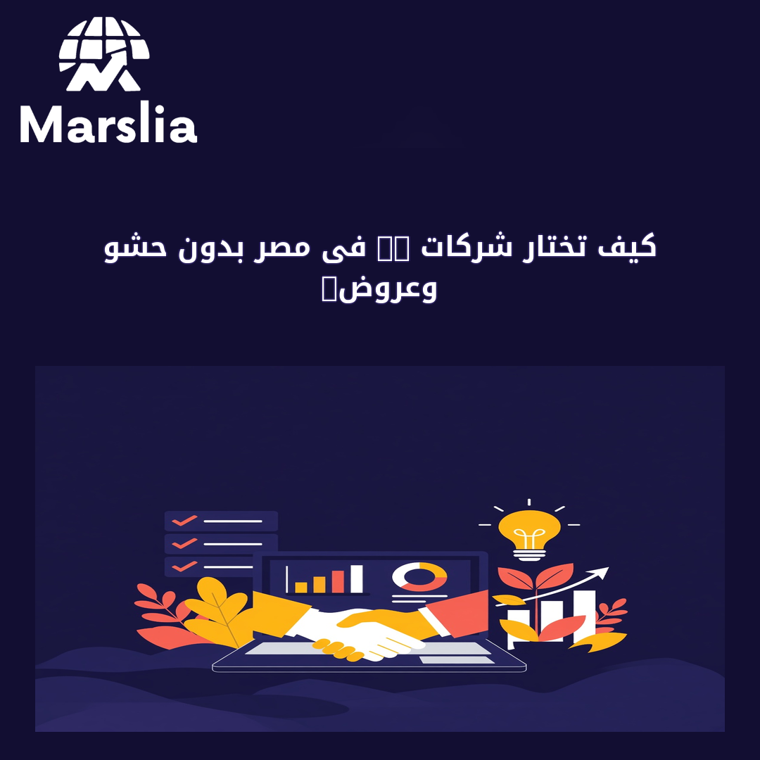 شركات it فى مصر - مارسيليا