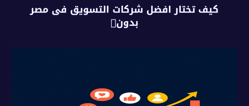افضل شركات التسويق فى مصر - مارسيليا