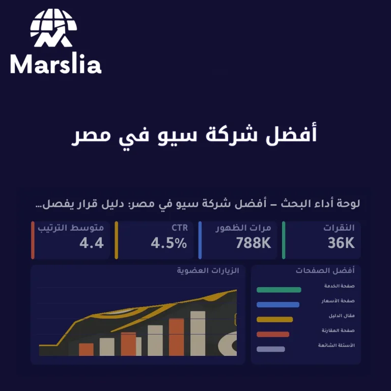 أفضل شركة سيو في مصر: دليل قرار يفصلك عن العروض المضللة