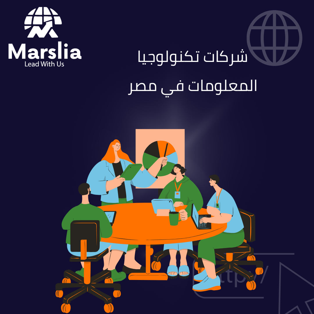أسماء شركات تكنولوجيا المعلومات في مصر