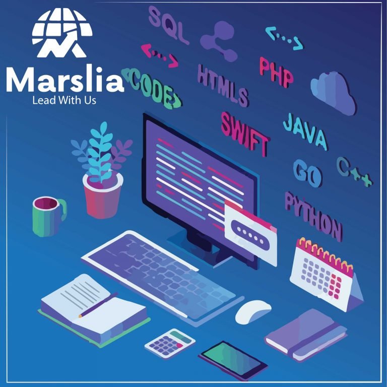 شركات برمجة مواقع في مصر
