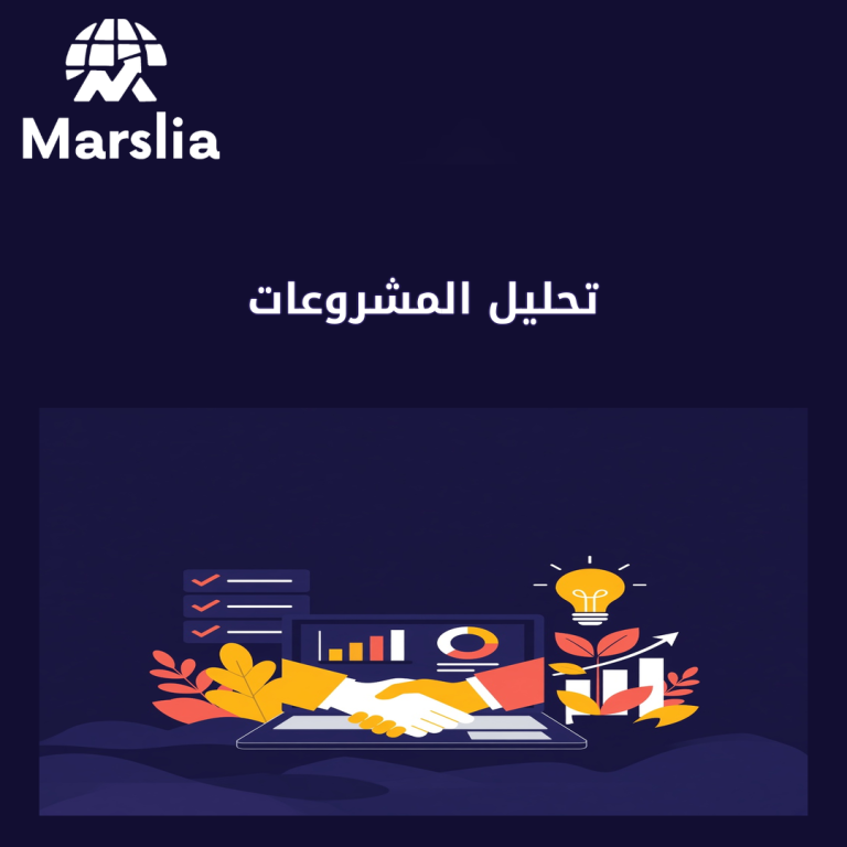 تحليل المشروعات: دليل عملي من مارسيليا قبل هدر ميزانية 2026