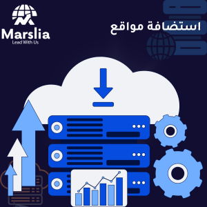 استضافة المواقع فى مصر