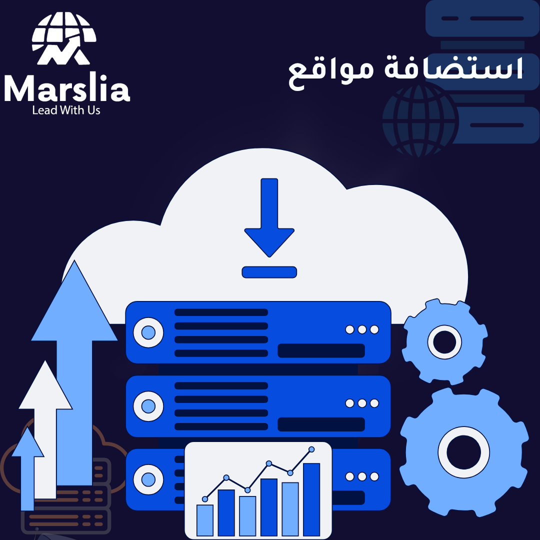 استضافة المواقع فى مصر