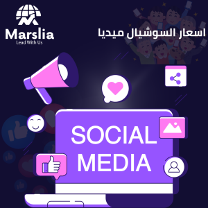 شركات اعلانات ممولة