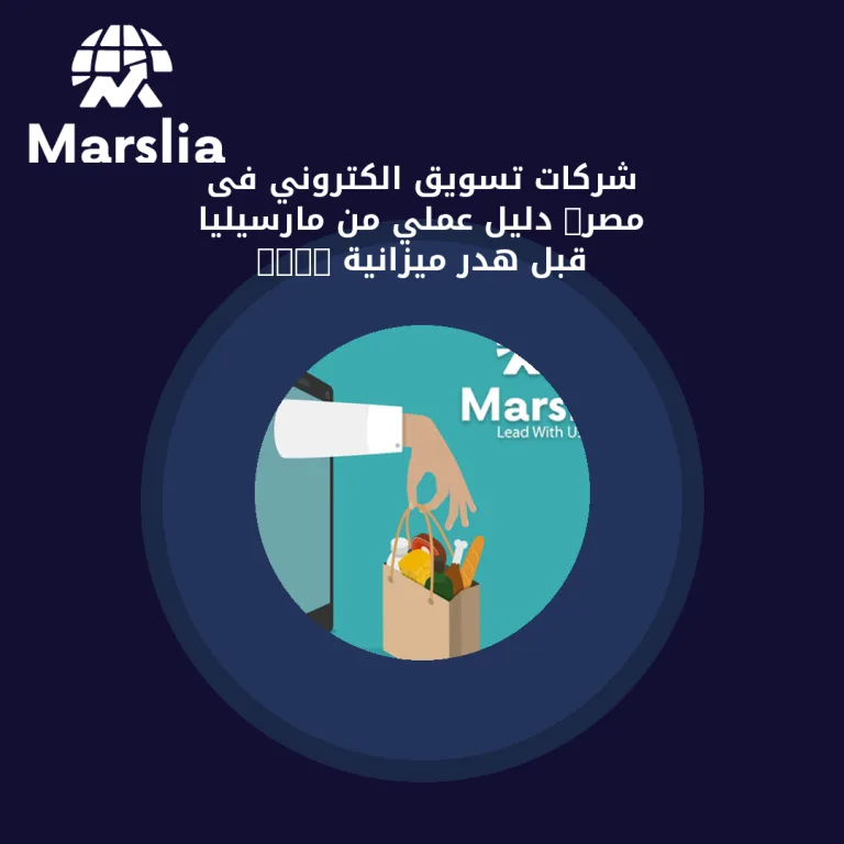 شركات تسويق الكتروني فى مصر: دليل عملي من مارسيليا قبل هدر ميزانية 2026