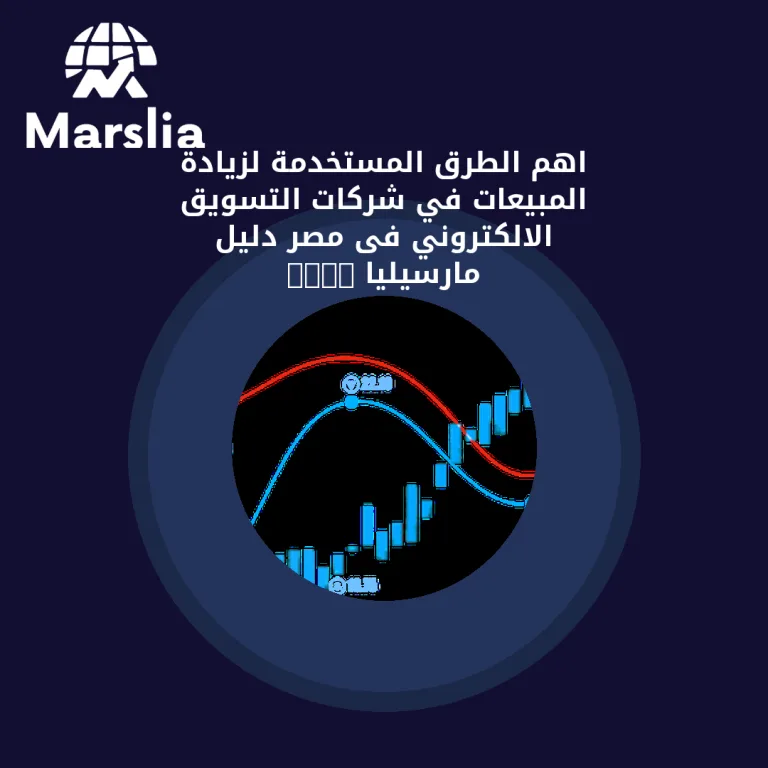اهم الطرق المستخدمة لزيادة المبيعات في شركات التسويق الالكتروني فى مصر | دليل مارسيليا 2026