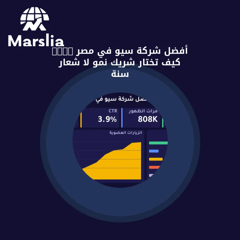 أفضل شركة سيو في مصر 2026 كيف تختار شريك نمو لا شعار سنة