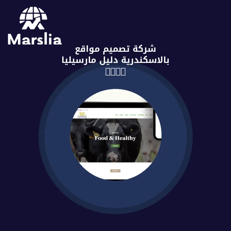 شركة تصميم مواقع بالاسكندرية | دليل مارسيليا 2026