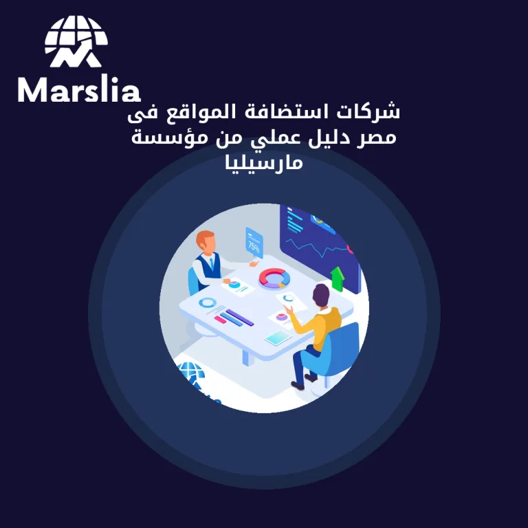 شركات استضافة المواقع فى مصر | دليل عملي من مؤسسة مارسيليا