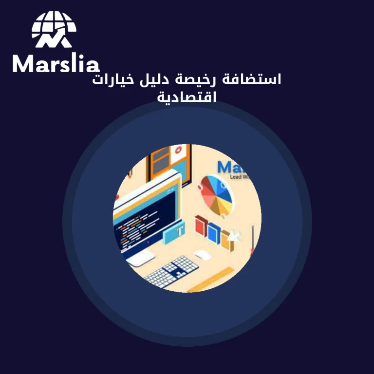 استضافة رخيصة دليل خيارات اقتصادية
