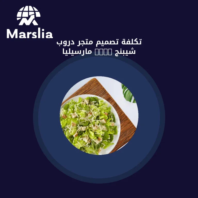 تكلفة تصميم متجر دروب شيبنج 2024 | مارسيليا