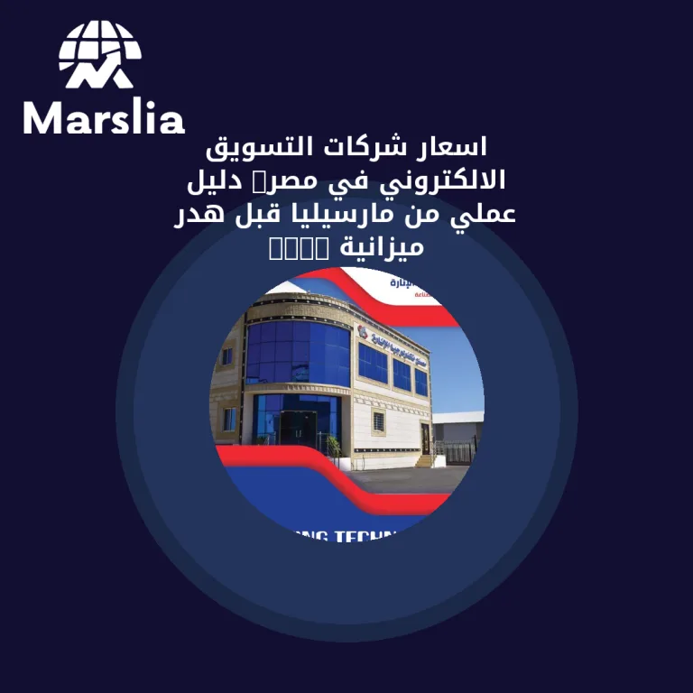 اسعار شركات التسويق الالكتروني في مصر: دليل عملي من مارسيليا قبل هدر ميزانية 2026