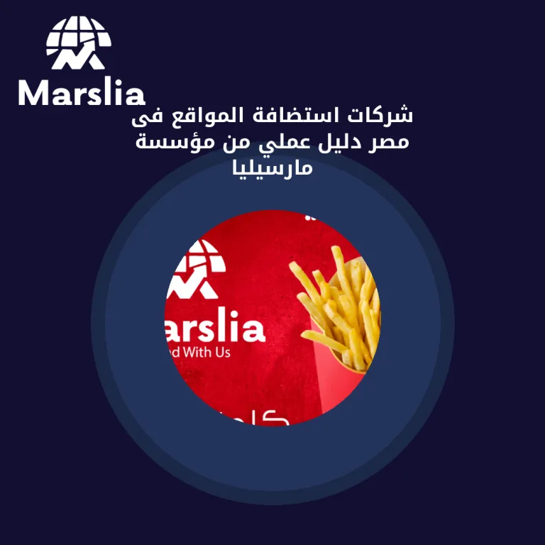 شركات استضافة المواقع فى مصر | دليل عملي من مؤسسة مارسيليا