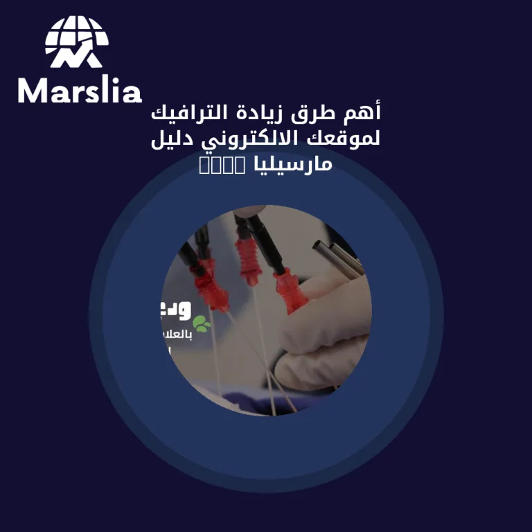أهم طرق زيادة الترافيك لموقعك الالكتروني | دليل مارسيليا 2026