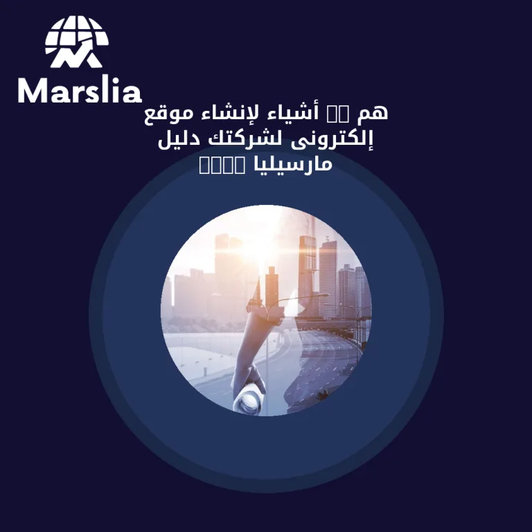 هم 10 أشياء لإنشاء موقع إلكترونى لشركتك | دليل مارسيليا 2026
