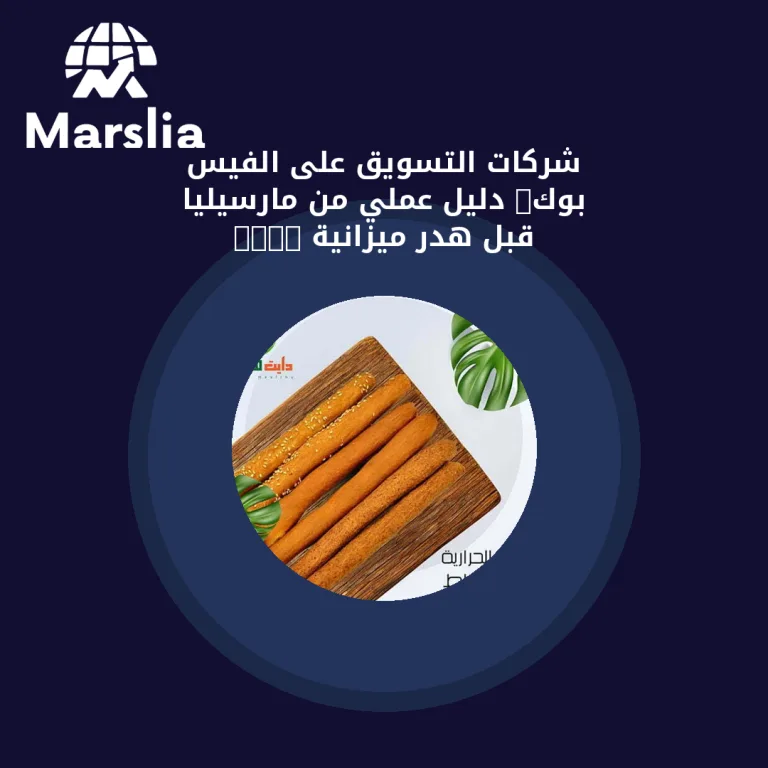 شركات التسويق على الفيس بوك: دليل عملي من مارسيليا قبل هدر ميزانية 2026
